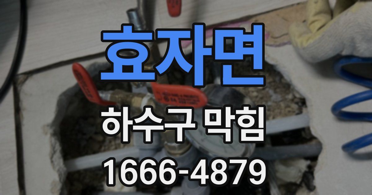 효자면 하수구 막힘