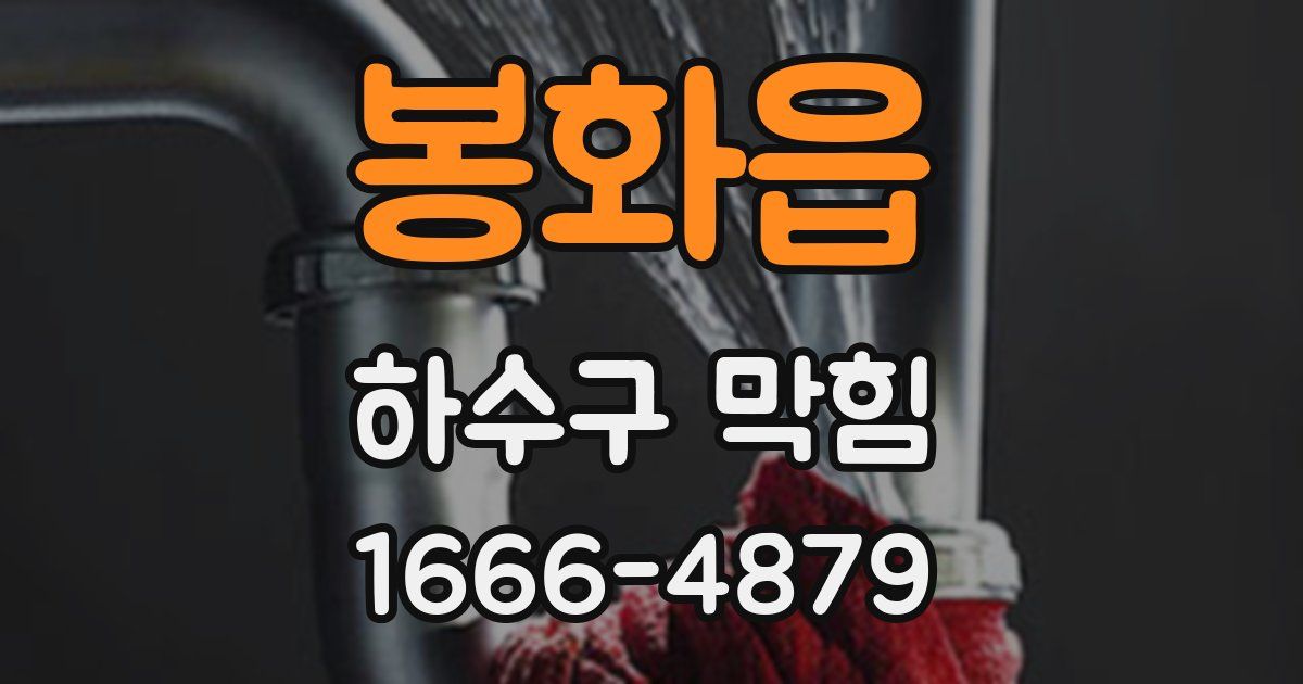봉화읍 하수구 막힘