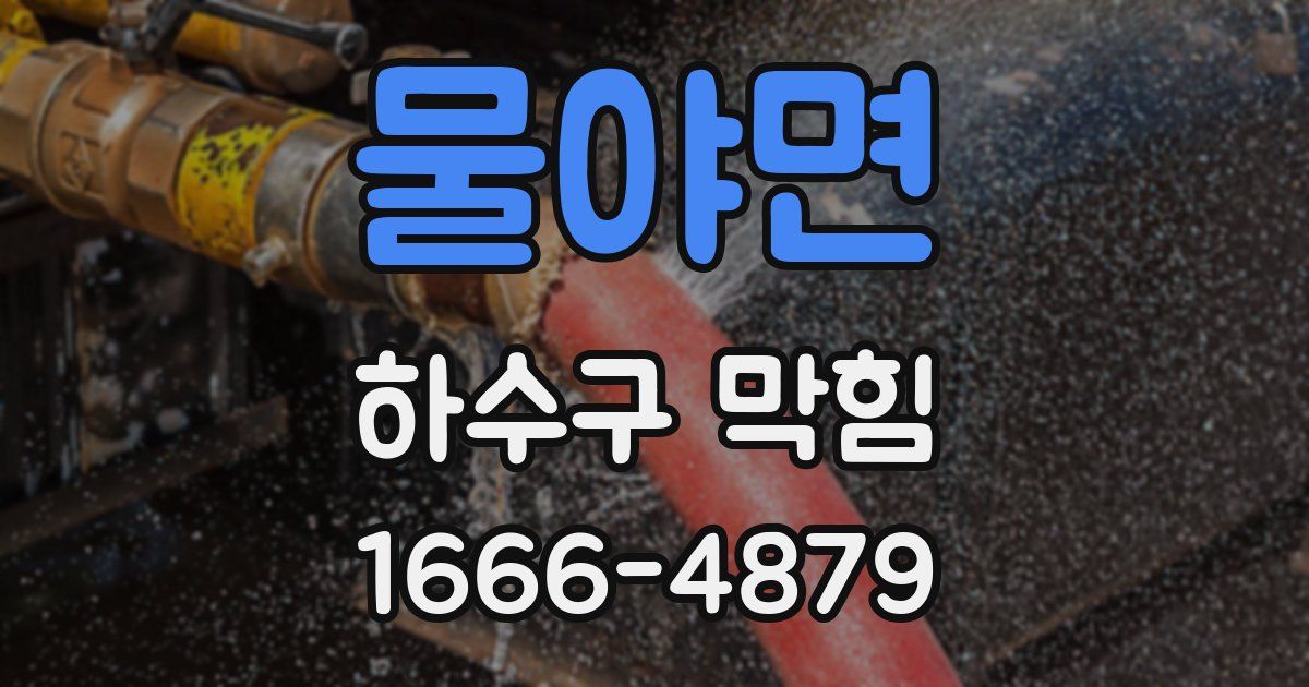 물야면 하수구 막힘