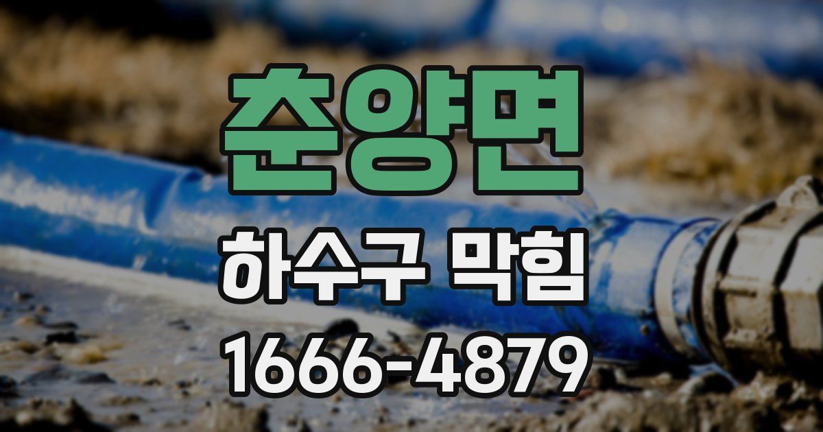 춘양면 하수구 막힘