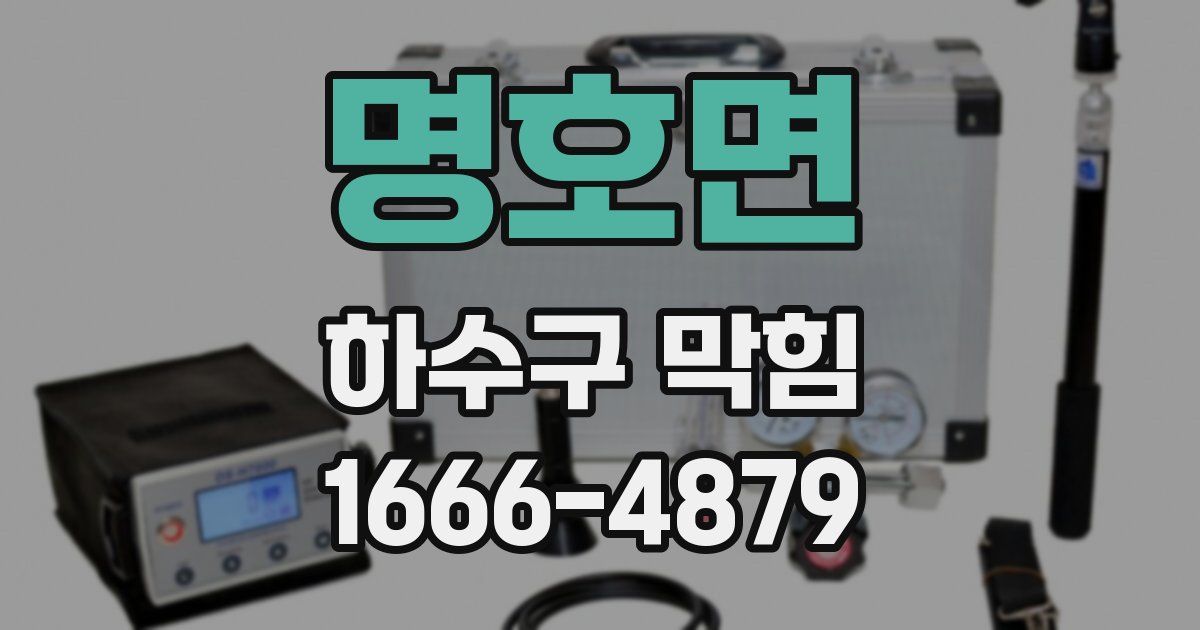 명호면 하수구 막힘