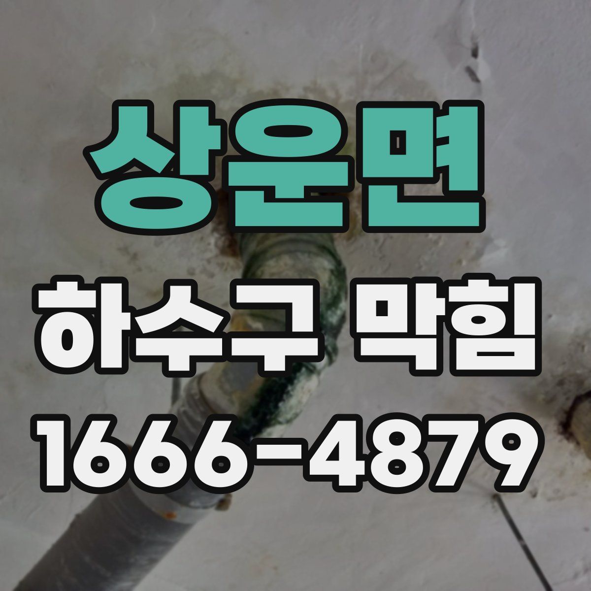 상운면 하수구 막힘