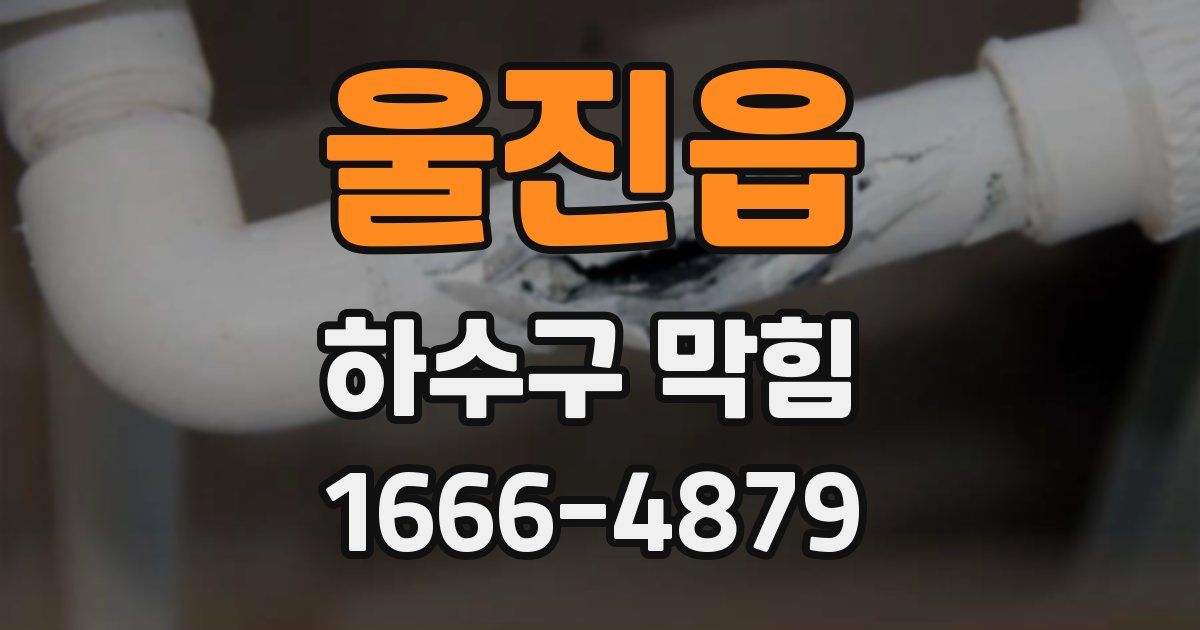 울진읍 하수구 막힘