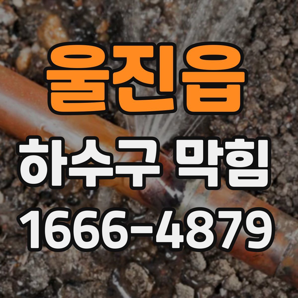 울진읍 하수구 막힘