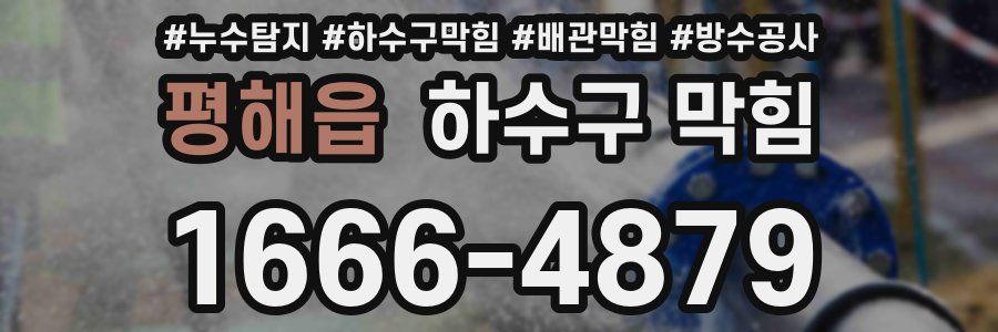 평해읍 하수구 막힘