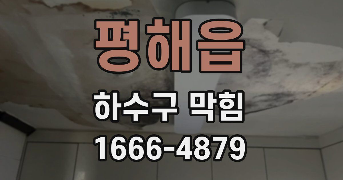 평해읍 하수구 막힘
