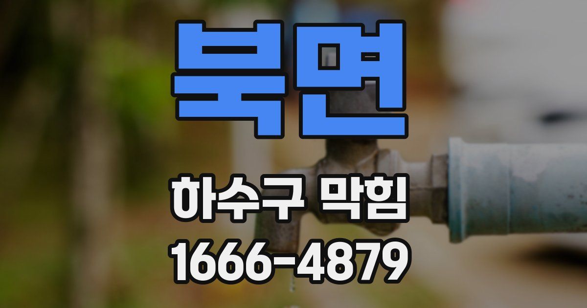 북면 하수구 막힘