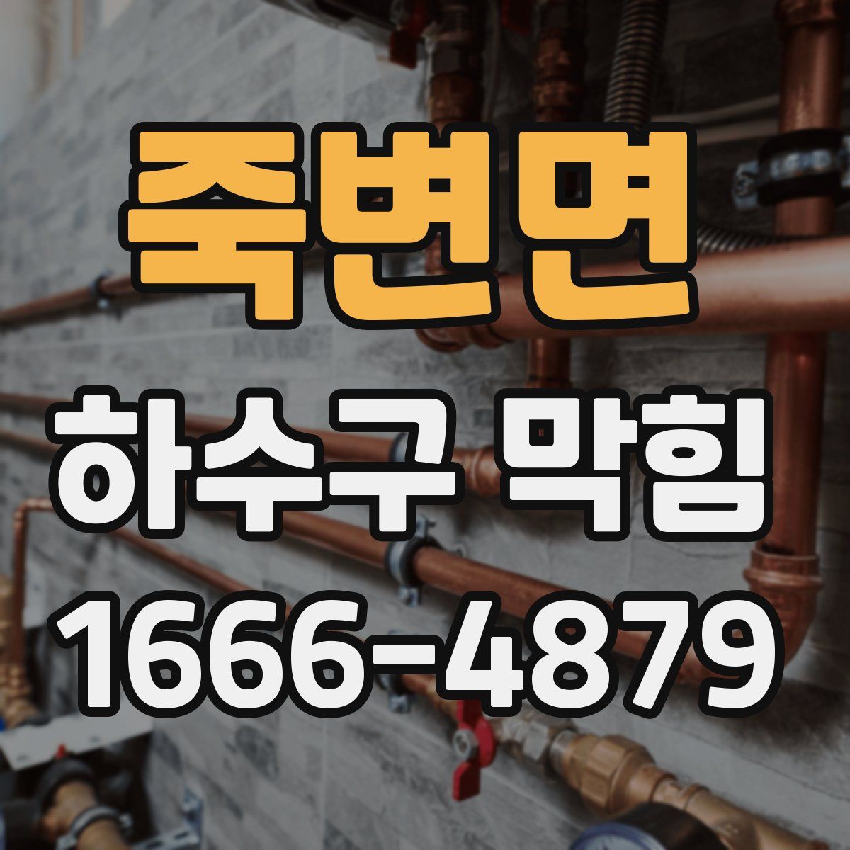 죽변면 하수구 막힘