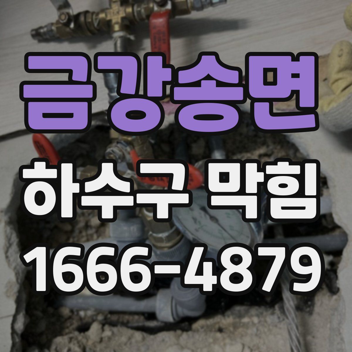 금강송면 하수구 막힘