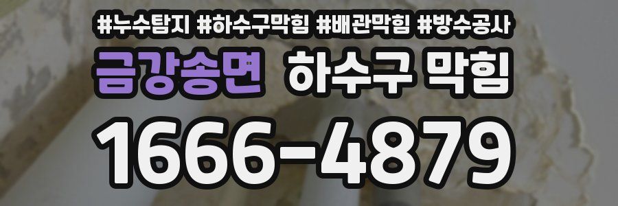 금강송면 하수구 막힘