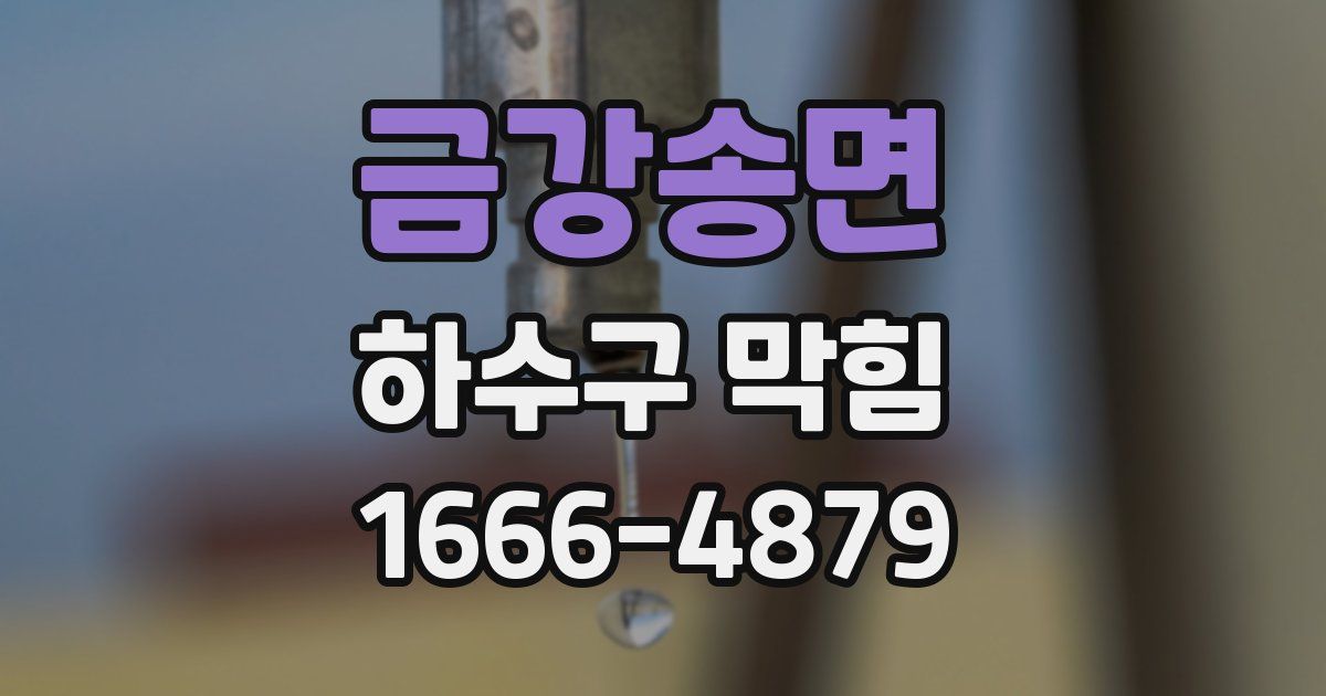 금강송면 하수구 막힘