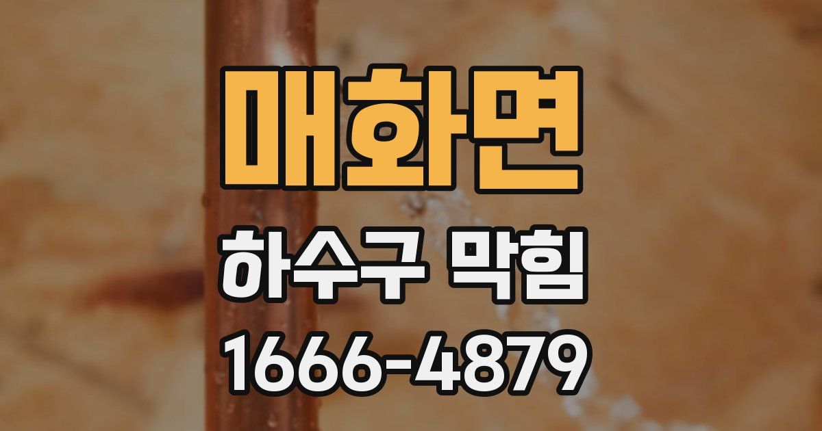 매화면 하수구 막힘