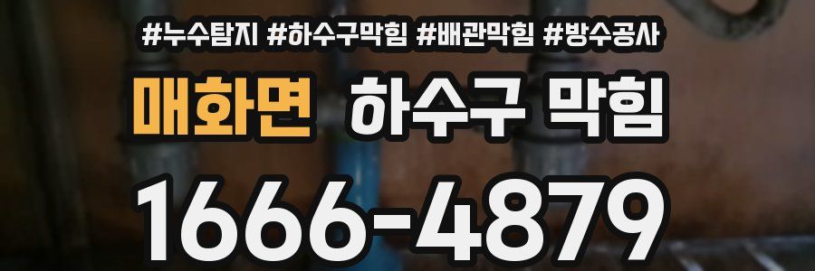 매화면 하수구 막힘