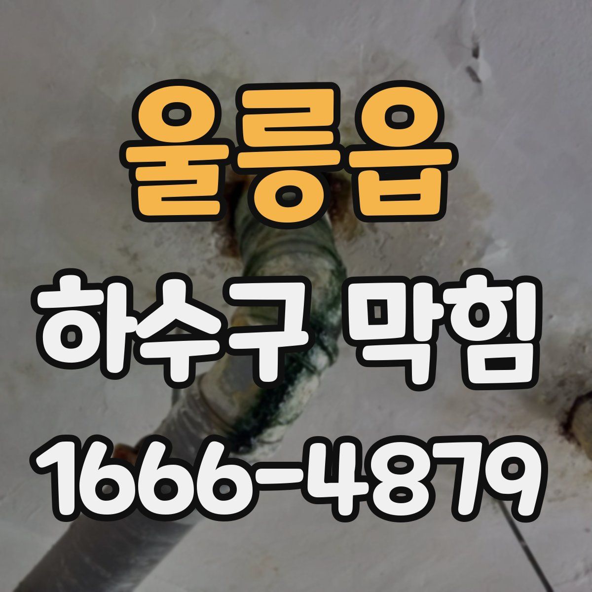 울릉읍 하수구 막힘