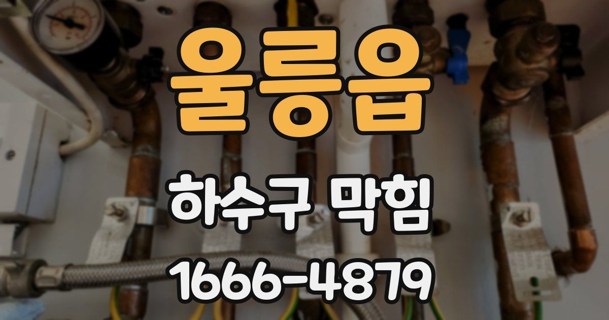 울릉읍 하수구 막힘