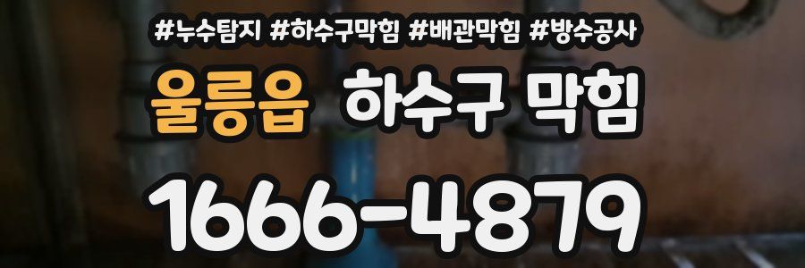 울릉읍 하수구 막힘