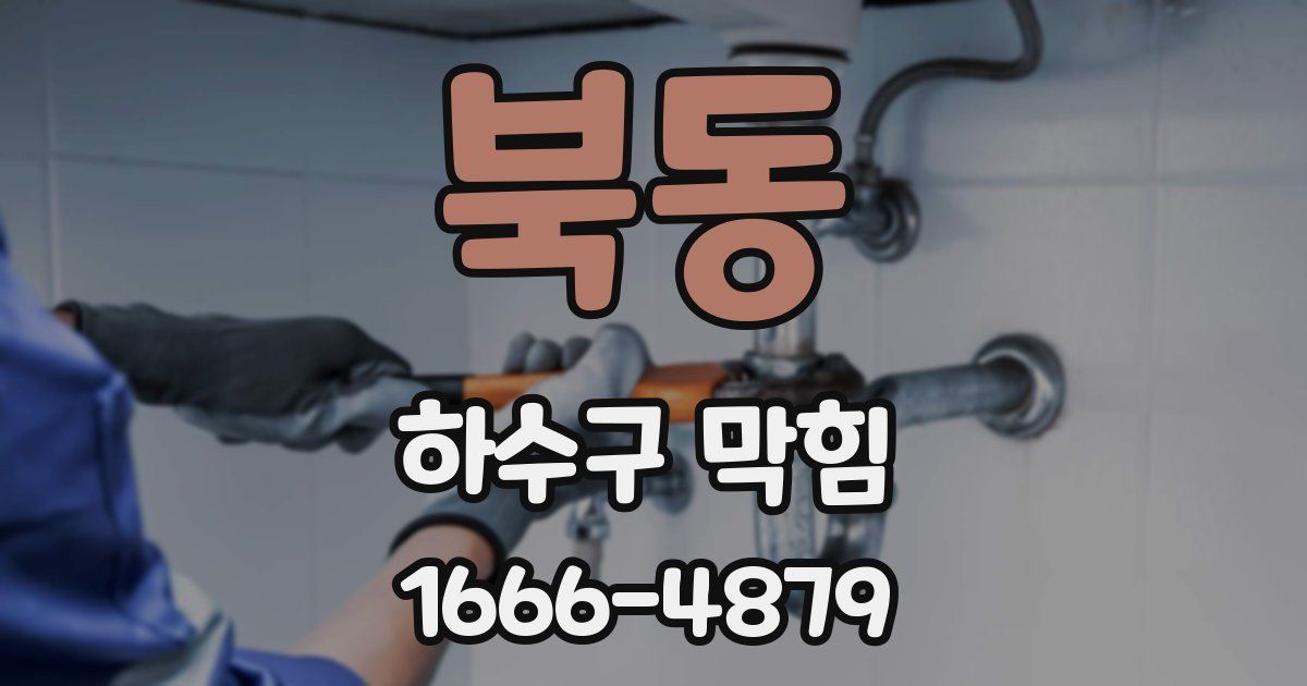 북동 하수구 막힘