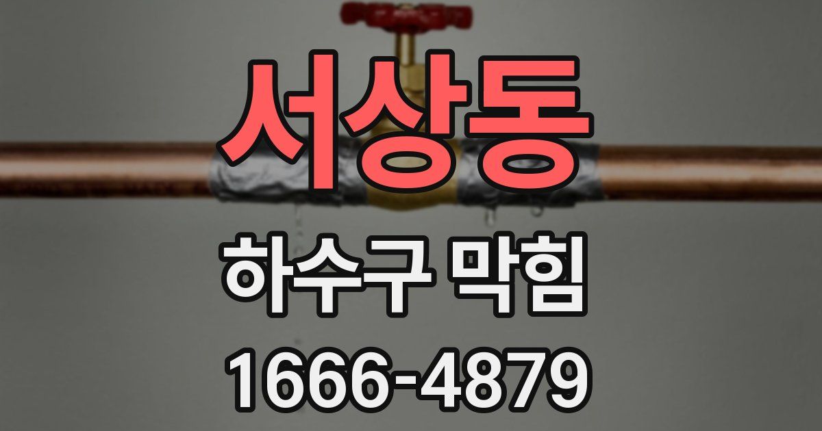 서상동 하수구 막힘