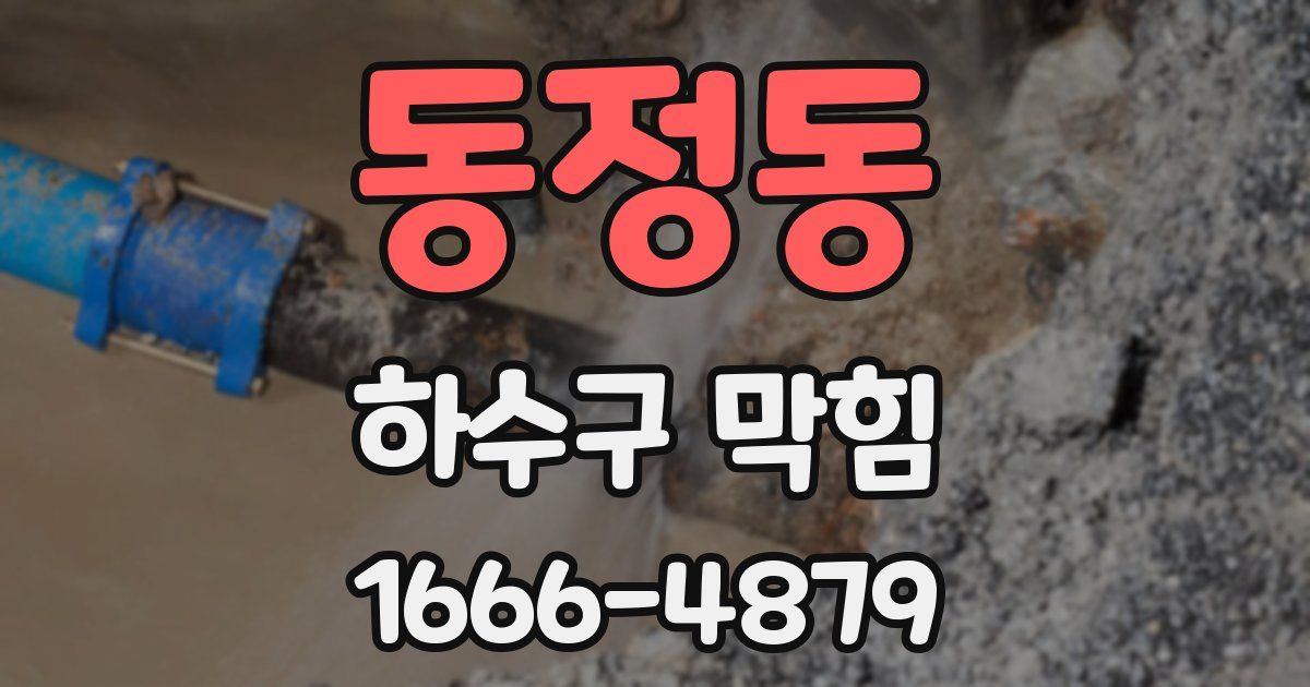 동정동 하수구 막힘
