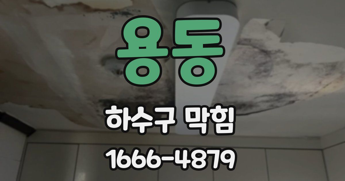 용동 하수구 막힘