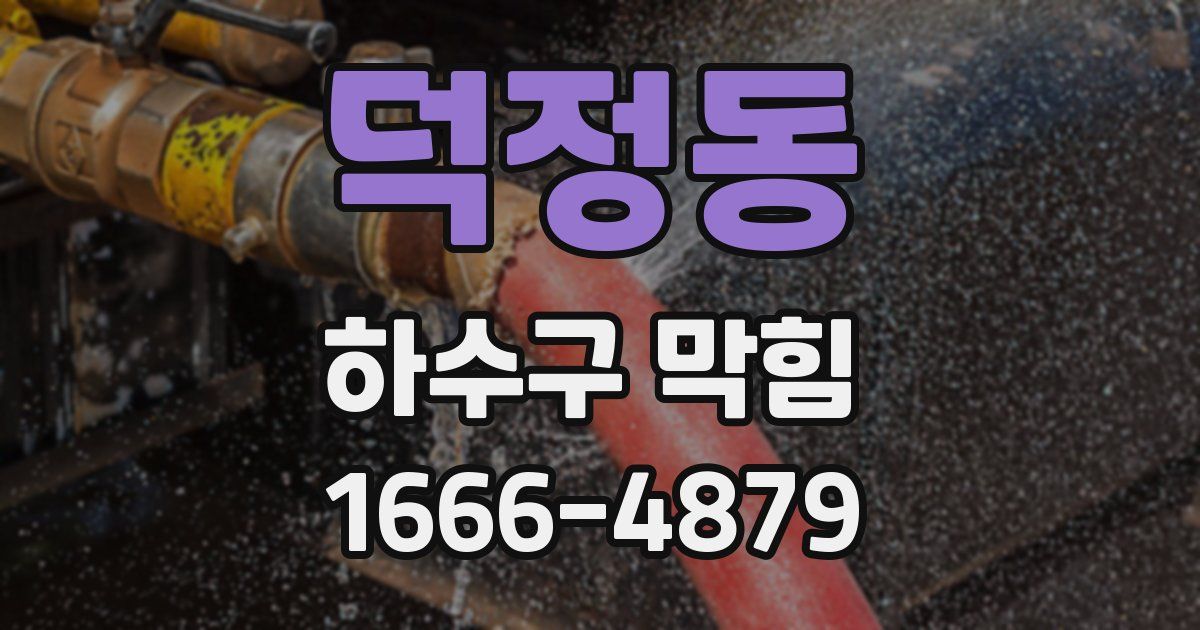 덕정동 하수구 막힘