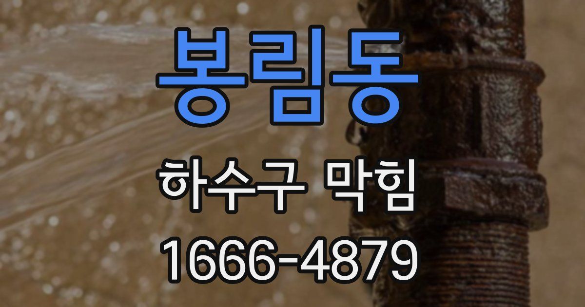 봉림동 하수구 막힘