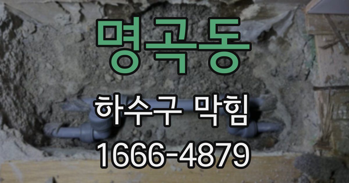 명곡동 하수구 막힘