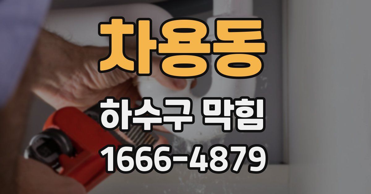 차용동 하수구 막힘