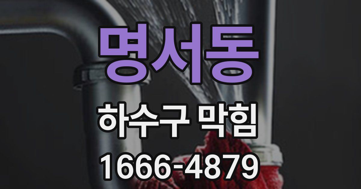 명서동 하수구 막힘
