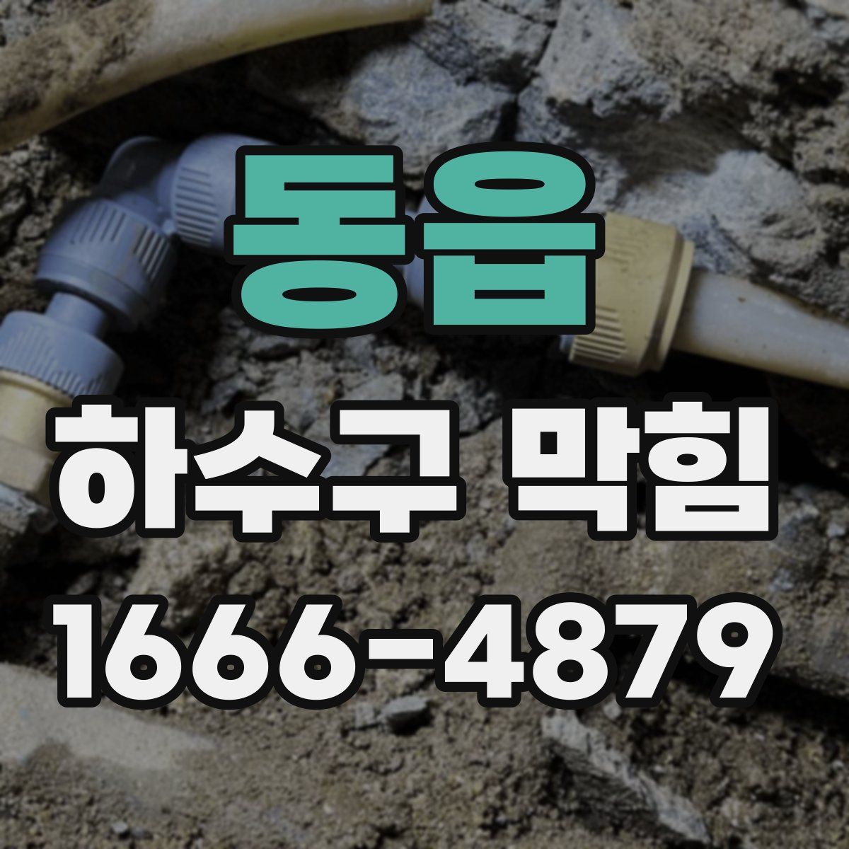 동읍 하수구 막힘