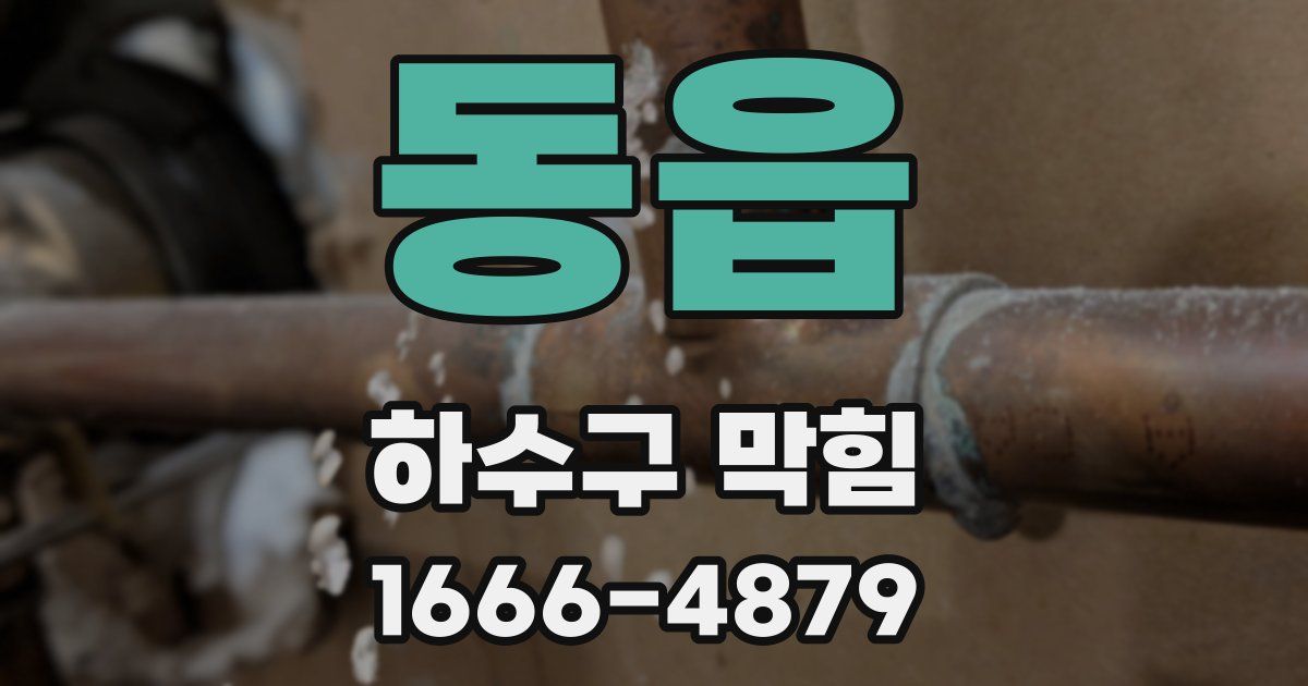 동읍 하수구 막힘