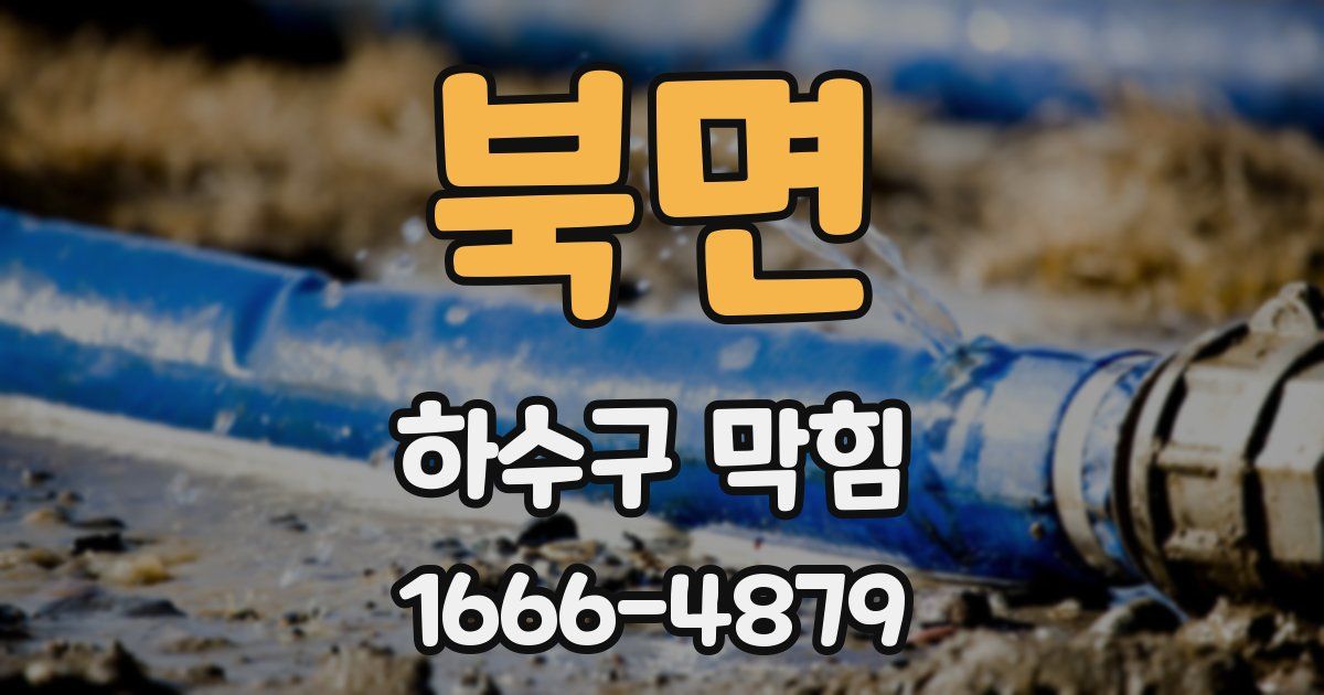 북면 하수구 막힘