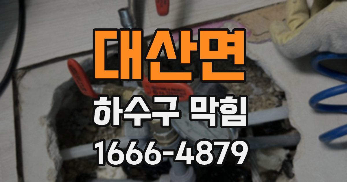 대산면 하수구 막힘