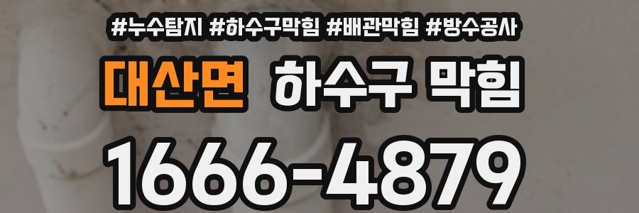 대산면 하수구 막힘