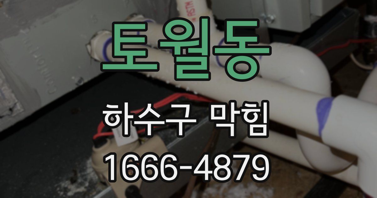 토월동 하수구 막힘