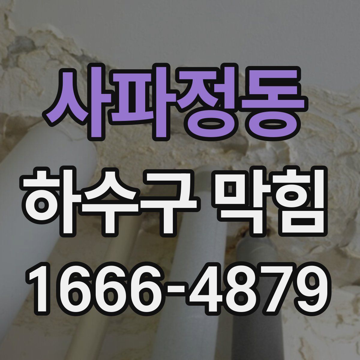 사파정동 하수구 막힘