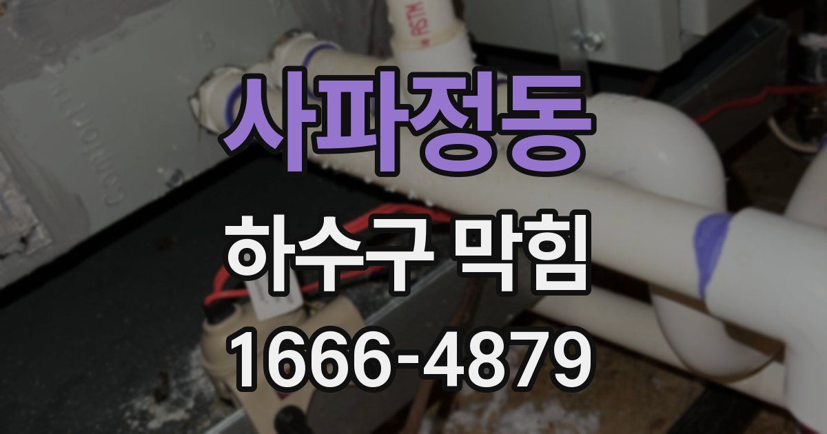 사파정동 하수구 막힘