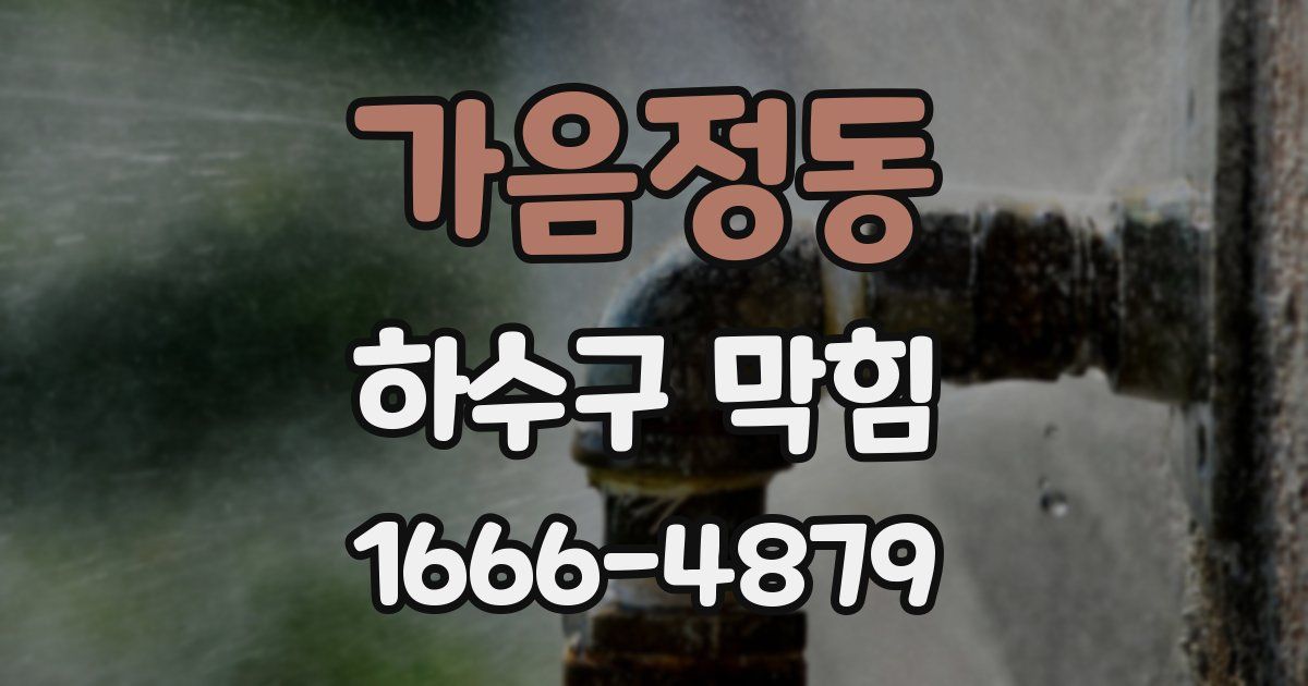 가음정동 하수구 막힘