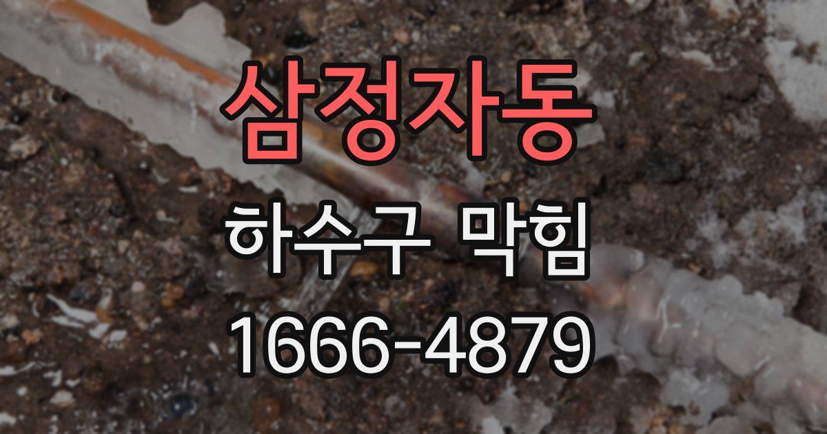 삼정자동 하수구 막힘