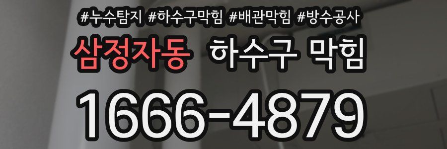 삼정자동 하수구 막힘