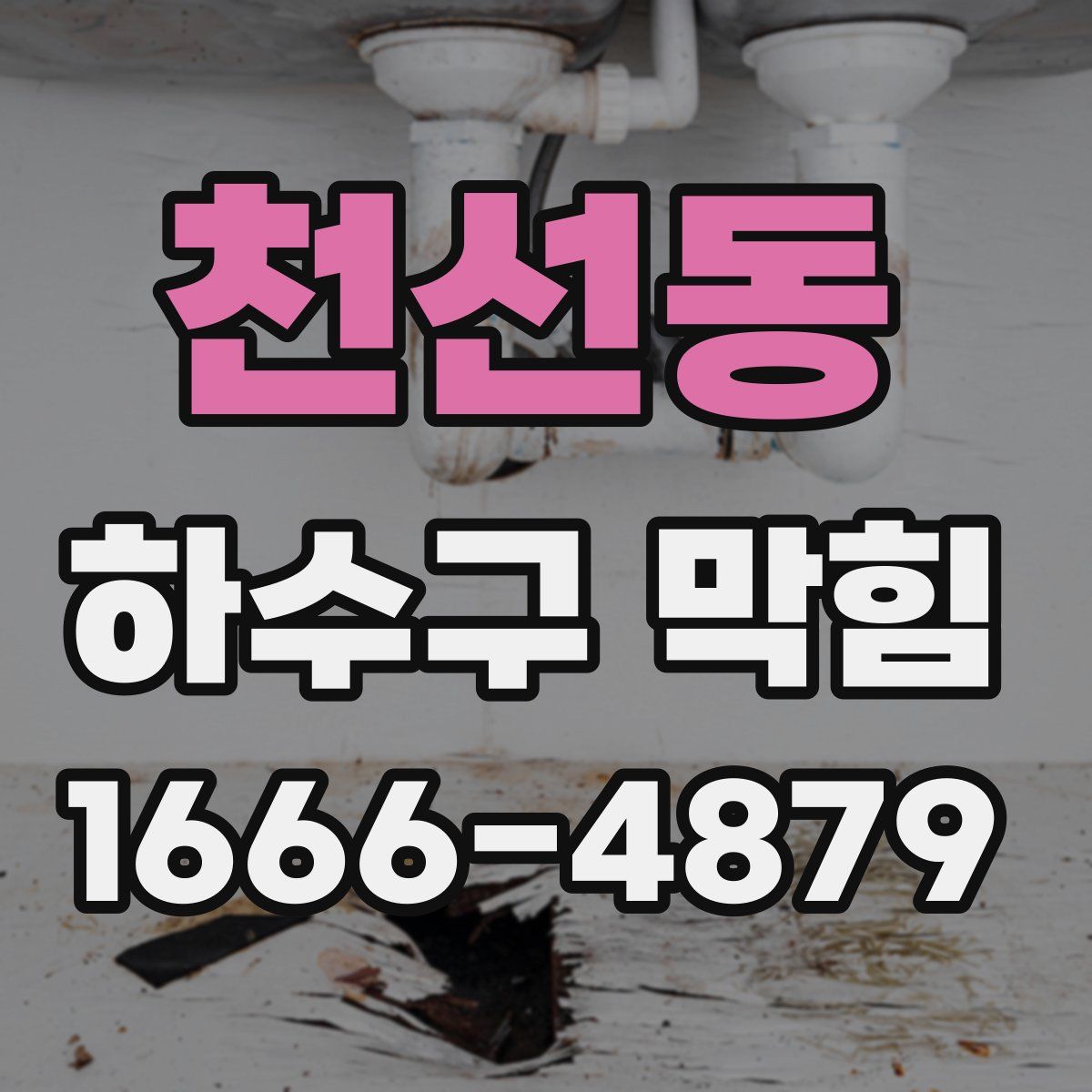 천선동 하수구 막힘