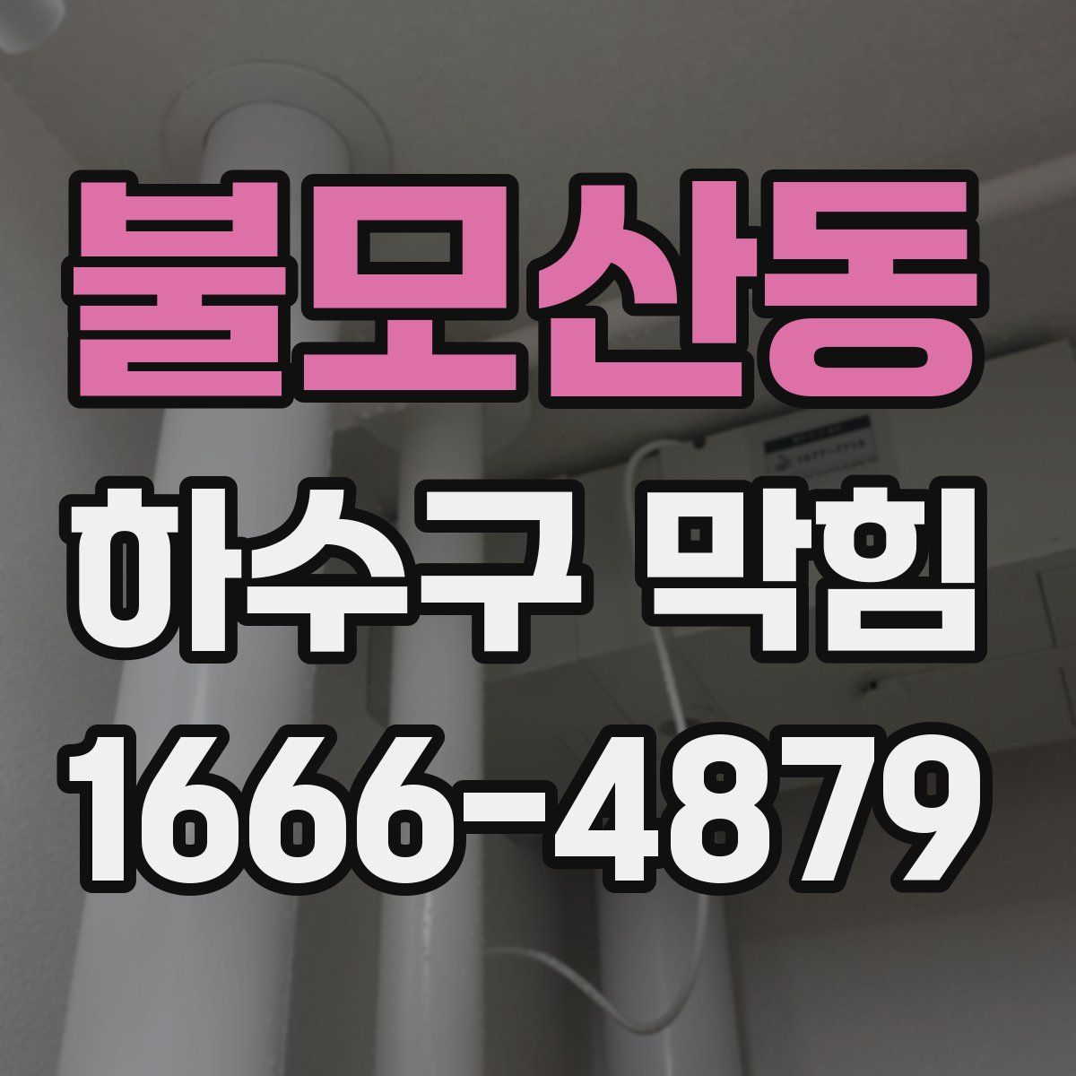 불모산동 하수구 막힘