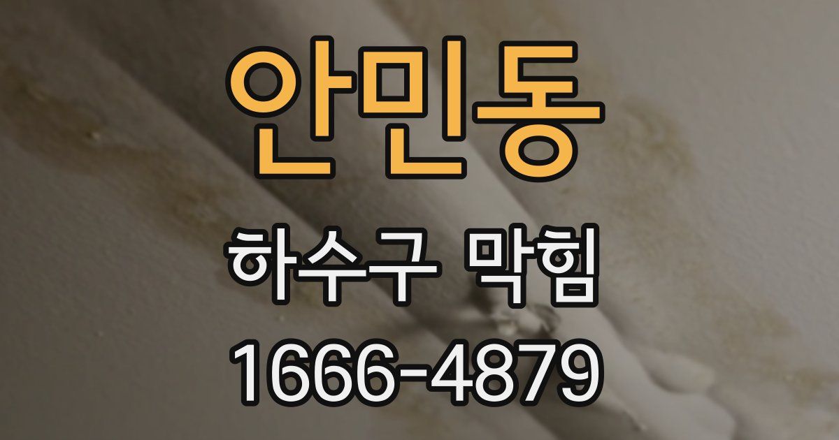 안민동 하수구 막힘
