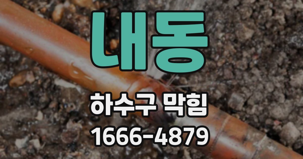 내동 하수구 막힘