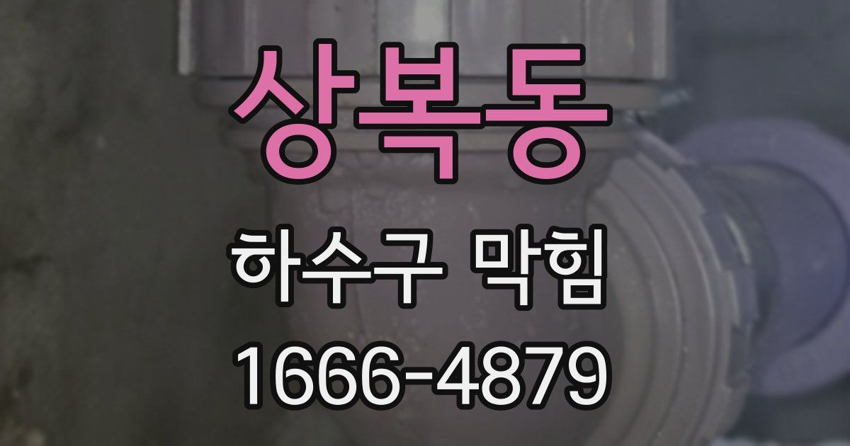 상복동 하수구 막힘