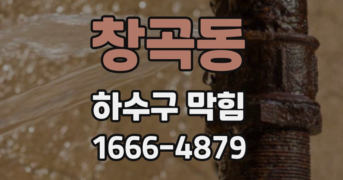 창곡동 하수구 막힘