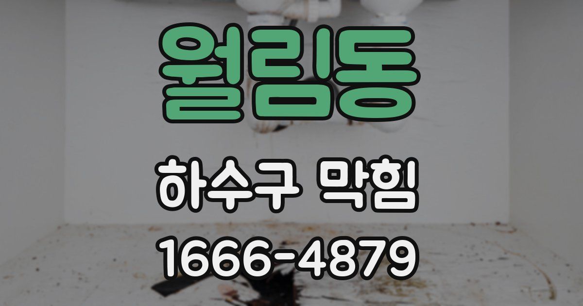 월림동 하수구 막힘