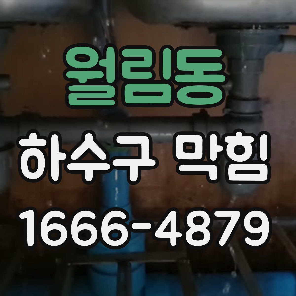 월림동 하수구 막힘