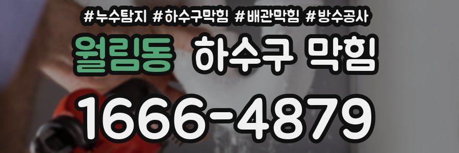 월림동 하수구 막힘