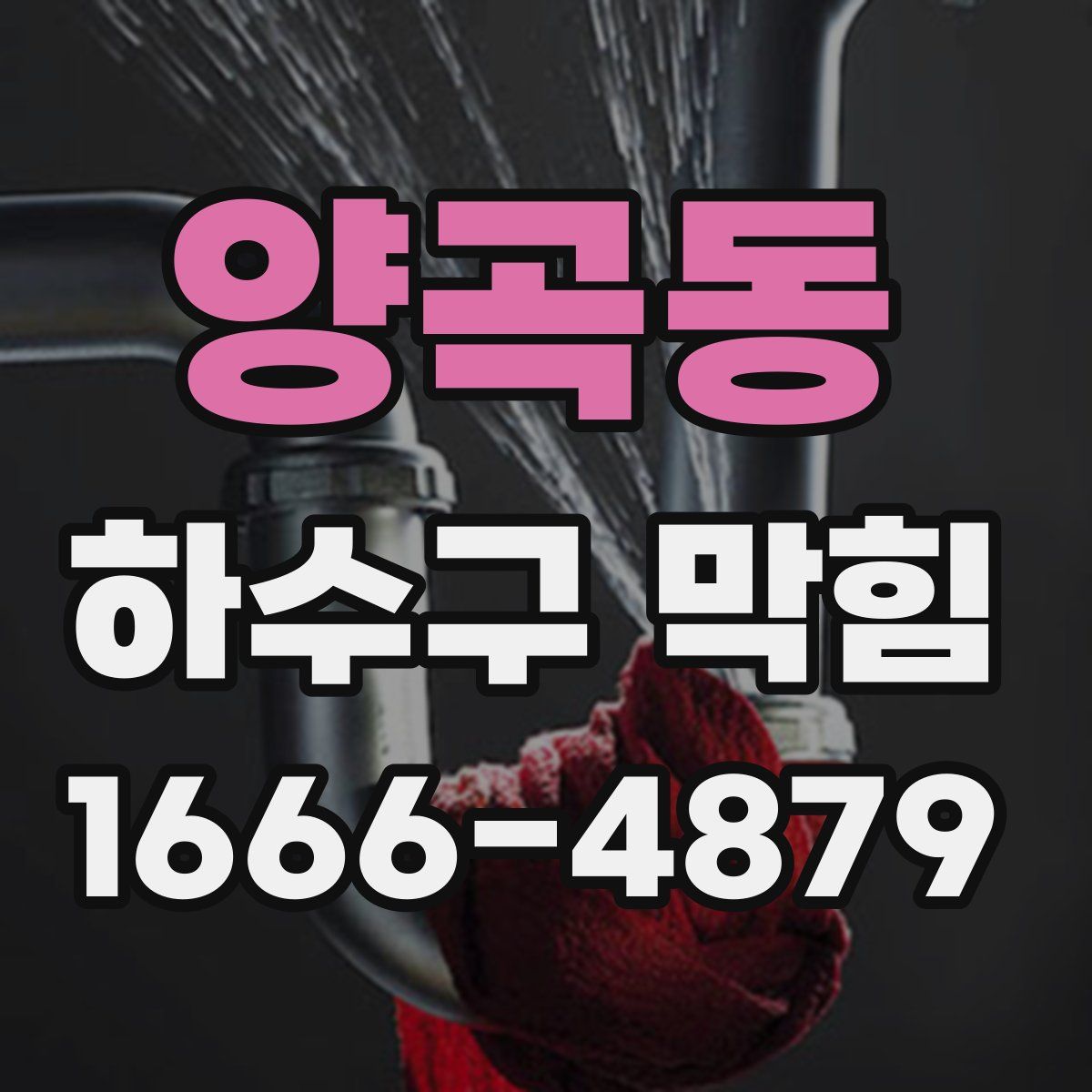 양곡동 하수구 막힘